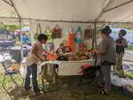 IMG-20220731-WA0014.jpg